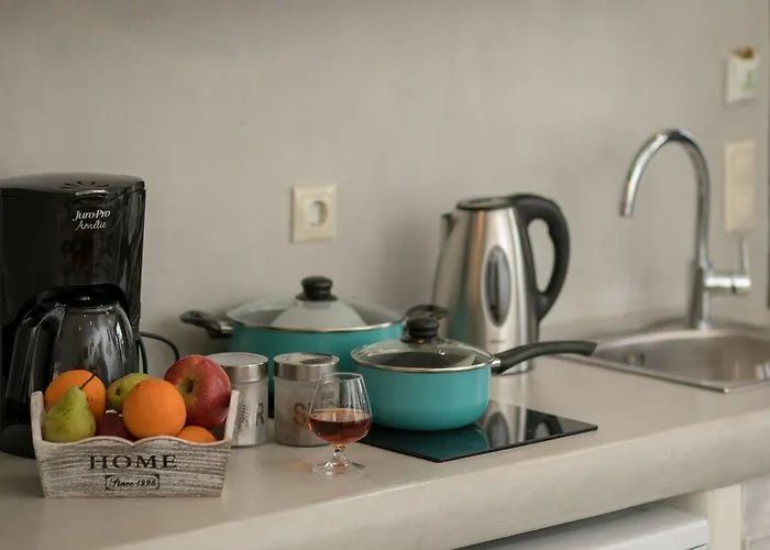 住宿加早餐酒店 Naxos Petite 3*