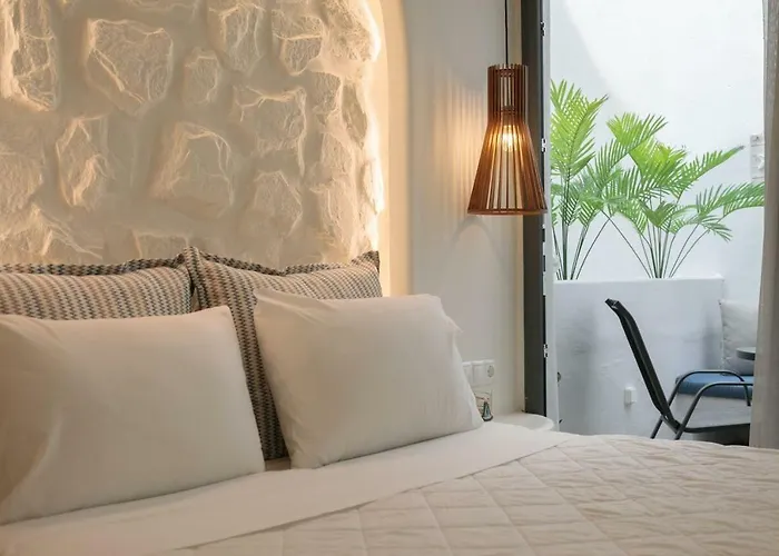 Naxos Petite 3* 阿吉奥斯普罗科皮奥斯