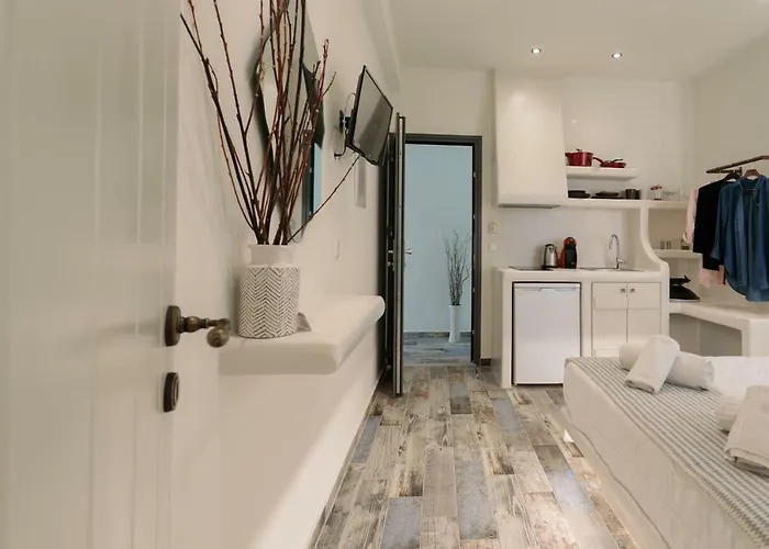 住宿加早餐酒店 Naxos Petite 阿吉奥斯普罗科皮奥斯